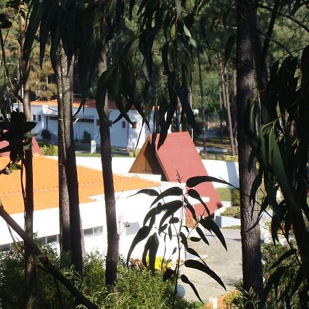 卢索 Parque De Campismo De Luso酒店 外观 照片
